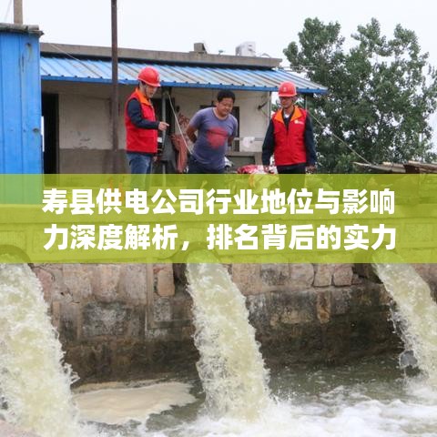 壽縣供電公司行業(yè)地位與影響力深度解析，排名背后的實力與貢獻