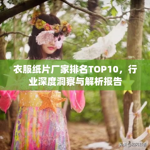 衣服紙片廠家排名TOP10，行業(yè)深度洞察與解析報(bào)告
