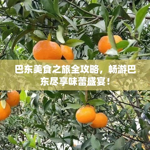 巴東美食之旅全攻略，暢游巴東盡享味蕾盛宴！