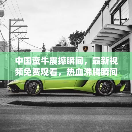 中國蠻牛震撼瞬間，最新視頻免費觀看，熱血沸騰瞬間集錦