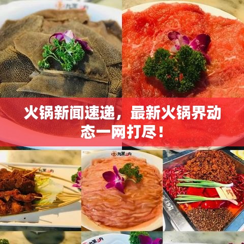 火鍋新聞速遞，最新火鍋界動(dòng)態(tài)一網(wǎng)打盡！