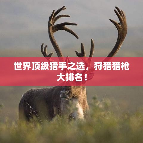 世界頂級(jí)獵手之選，狩獵獵槍大排名！