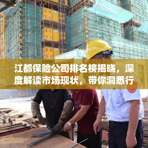 江都保險公司排名榜揭曉，深度解讀市場現(xiàn)狀，帶你洞悉行業(yè)格局！