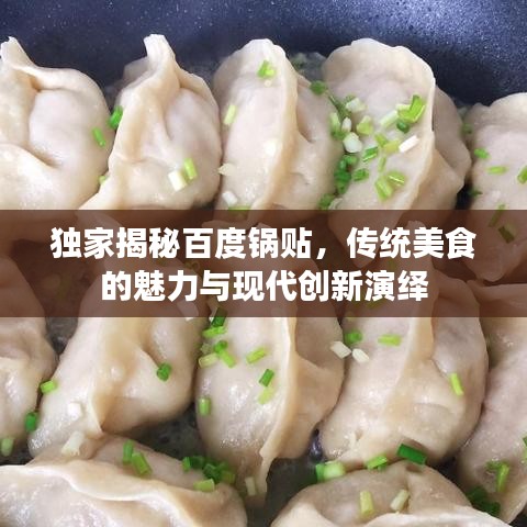 獨家揭秘百度鍋貼，傳統(tǒng)美食的魅力與現(xiàn)代創(chuàng)新演繹