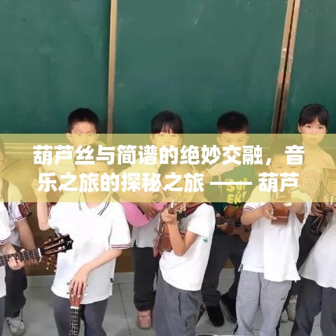 葫蘆絲與簡譜的絕妙交融，音樂之旅的探秘之旅 —— 葫蘆絲簡譜全收錄