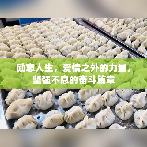 勵志人生，愛情之外的力量，堅強不息的奮斗篇章