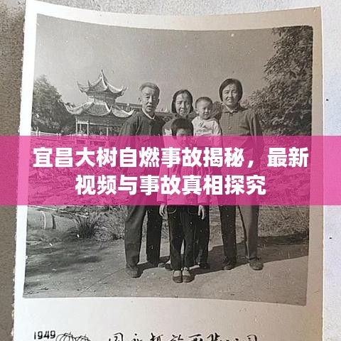 宜昌大樹自燃事故揭秘，最新視頻與事故真相探究