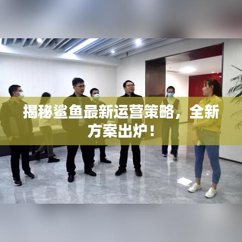 揭秘鯊魚最新運(yùn)營策略，全新方案出爐！
