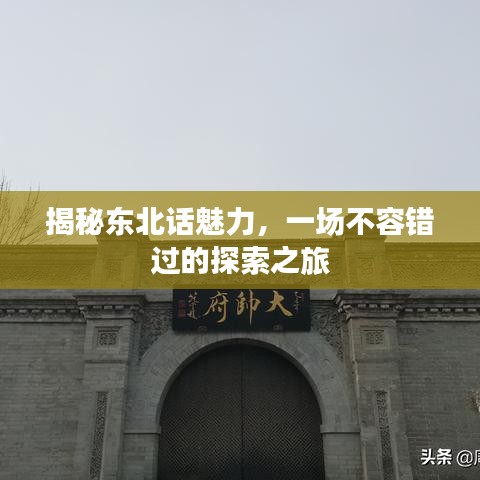 揭秘東北話魅力，一場(chǎng)不容錯(cuò)過的探索之旅
