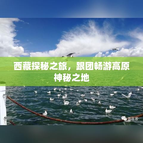 西藏探秘之旅，跟團(tuán)暢游高原神秘之地
