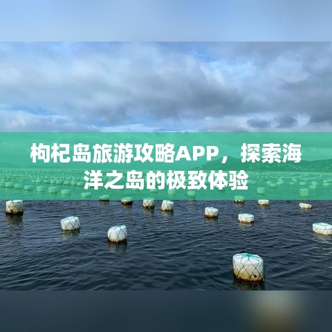 枸杞島旅游攻略APP，探索海洋之島的極致體驗(yàn)