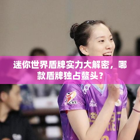 迷你世界盾牌實(shí)力大解密，哪款盾牌獨(dú)占鰲頭？