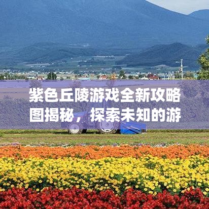 紫色丘陵游戲全新攻略圖揭秘，探索未知的游戲世界之旅