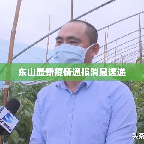 東山最新疫情通報消息速遞