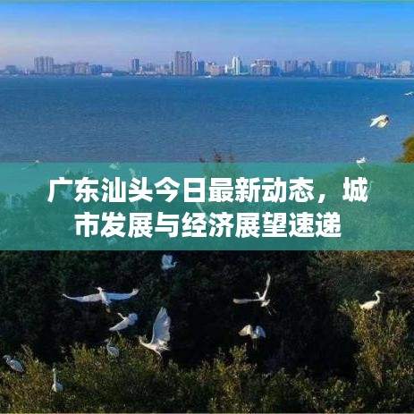 廣東汕頭今日最新動(dòng)態(tài)，城市發(fā)展與經(jīng)濟(jì)展望速遞