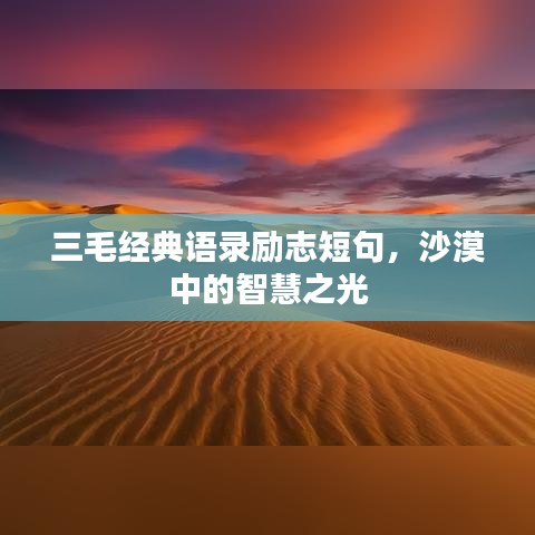 三毛經典語錄勵志短句，沙漠中的智慧之光