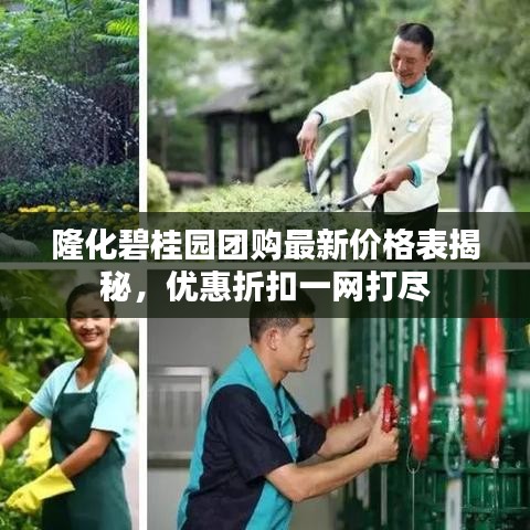 隆化碧桂園團購最新價格表揭秘，優(yōu)惠折扣一網(wǎng)打盡