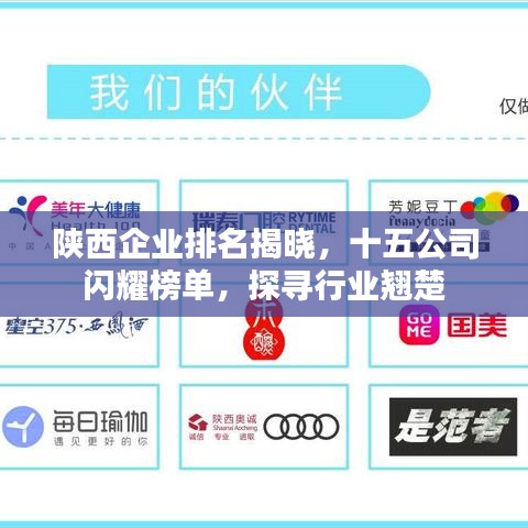 陜西企業(yè)排名揭曉，十五公司閃耀榜單，探尋行業(yè)翹楚
