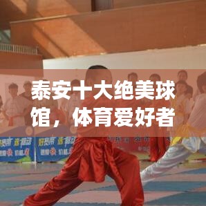 泰安十大絕美球館，體育愛好者的必去勝地
