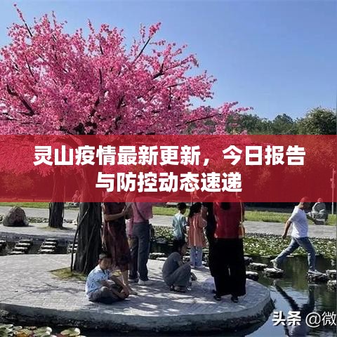 靈山疫情最新更新，今日報告與防控動態(tài)速遞
