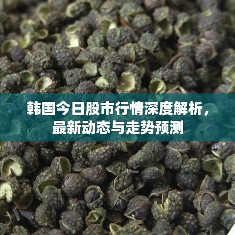 韓國今日股市行情深度解析，最新動(dòng)態(tài)與走勢預(yù)測