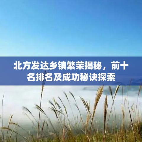 北方發(fā)達鄉(xiāng)鎮(zhèn)繁榮揭秘，前十名排名及成功秘訣探索