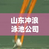 山東沖浪泳池公司排名大揭秘，行業(yè)領(lǐng)軍者一覽無余！