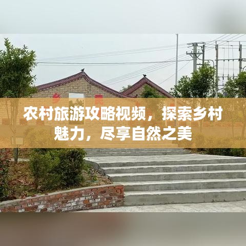 農(nóng)村旅游攻略視頻，探索鄉(xiāng)村魅力，盡享自然之美