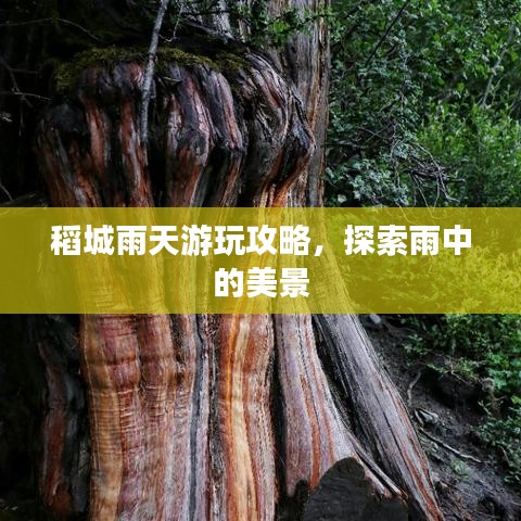 熊經(jīng)鳥伸 第4頁(yè)