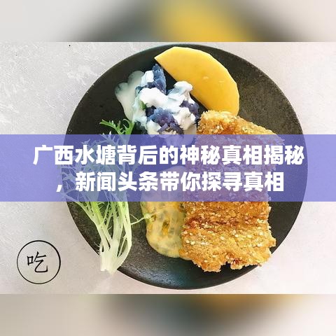 廣西水塘背后的神秘真相揭秘，新聞?lì)^條帶你探尋真相