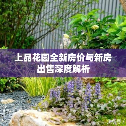 上品花園全新房價與新房出售深度解析