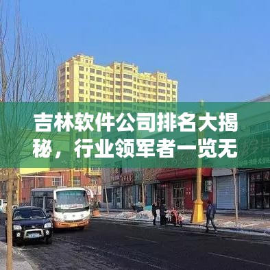 吉林軟件公司排名大揭秘，行業(yè)領(lǐng)軍者一覽無余！