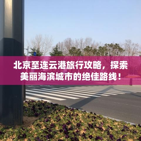 輕徙鳥舉 第3頁