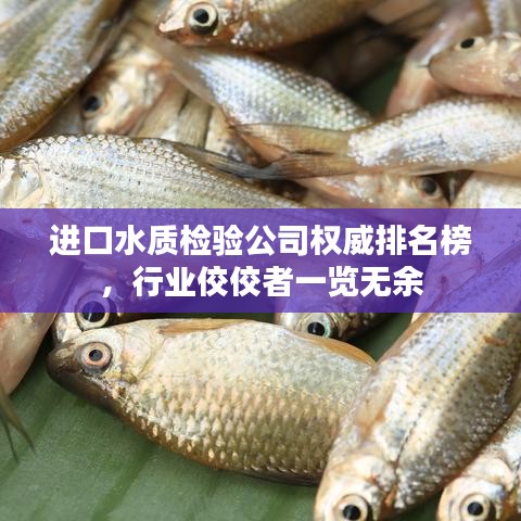 進(jìn)口水質(zhì)檢驗(yàn)公司權(quán)威排名榜，行業(yè)佼佼者一覽無(wú)余