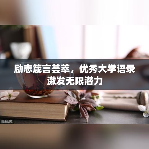 勵(lì)志箴言薈萃，優(yōu)秀大學(xué)語錄激發(fā)無限潛力