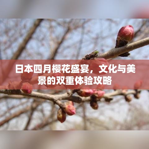 日本四月櫻花盛宴，文化與美景的雙重體驗(yàn)攻略