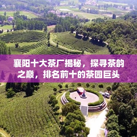 襄陽(yáng)十大茶廠揭秘，探尋茶韻之巔，排名前十的茶園巨頭