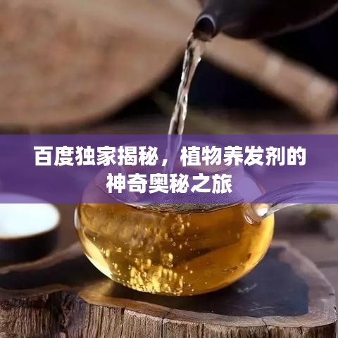 百度獨(dú)家揭秘，植物養(yǎng)發(fā)劑的神奇奧秘之旅