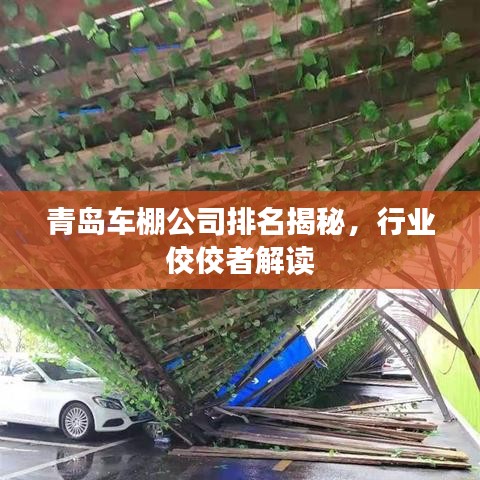 青島車棚公司排名揭秘，行業(yè)佼佼者解讀