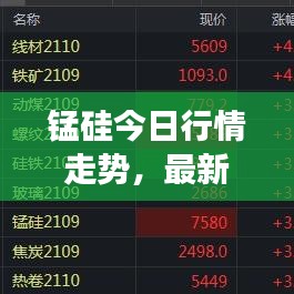 錳硅今日行情走勢，最新價(jià)格分析與市場展望