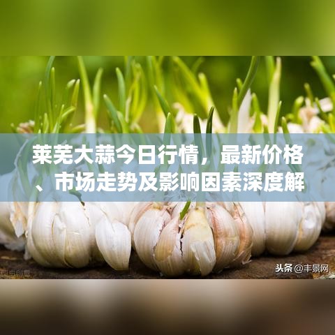 萊蕪大蒜今日行情，最新價(jià)格、市場(chǎng)走勢(shì)及影響因素深度解析