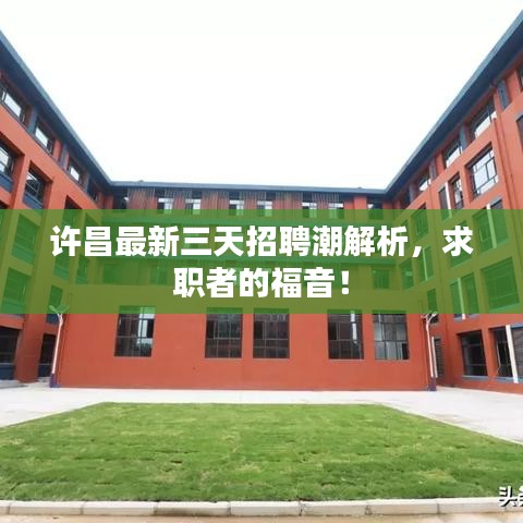 許昌最新三天招聘潮解析，求職者的福音！