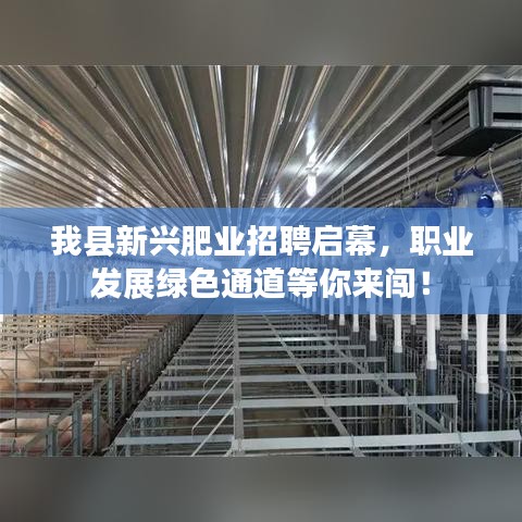 我縣新興肥業(yè)招聘啟幕，職業(yè)發(fā)展綠色通道等你來闖！