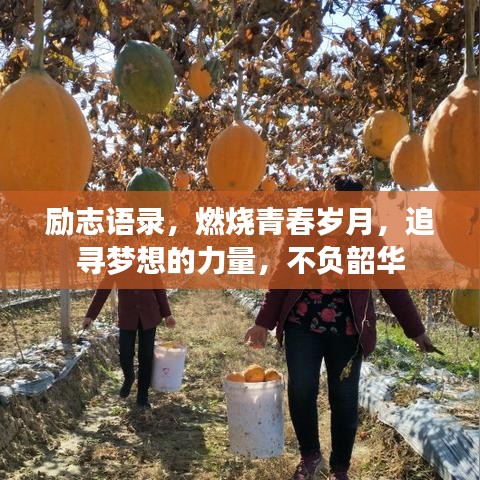 勵志語錄，燃燒青春歲月，追尋夢想的力量，不負(fù)韶華