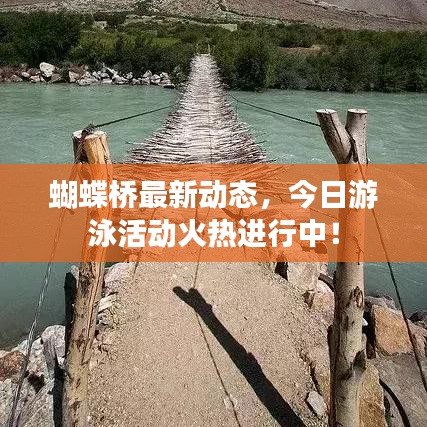 蝴蝶橋最新動(dòng)態(tài)，今日游泳活動(dòng)火熱進(jìn)行中！