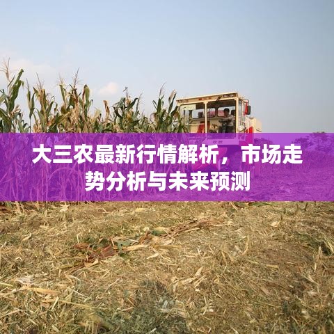 大三農(nóng)最新行情解析，市場走勢分析與未來預(yù)測