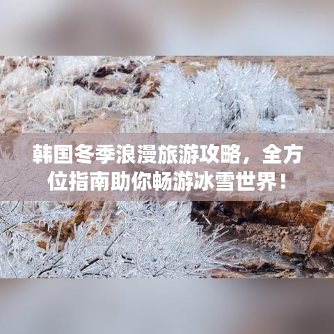 韓國冬季浪漫旅游攻略，全方位指南助你暢游冰雪世界！