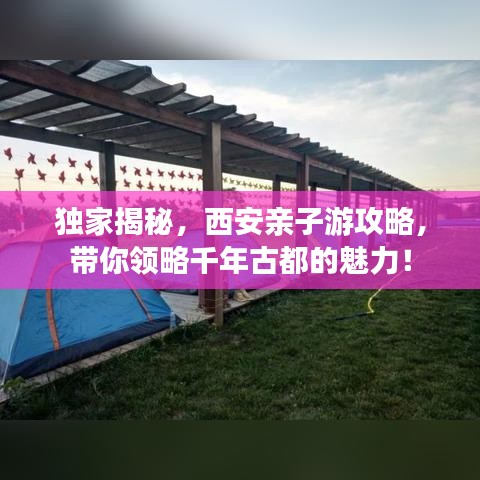 獨(dú)家揭秘，西安親子游攻略，帶你領(lǐng)略千年古都的魅力！