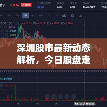 深圳股市最新動態(tài)解析，今日股盤走勢分析
