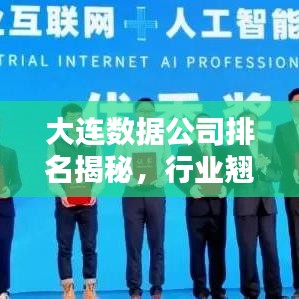 大連數(shù)據(jù)公司排名揭秘，行業(yè)翹楚引領數(shù)字化浪潮